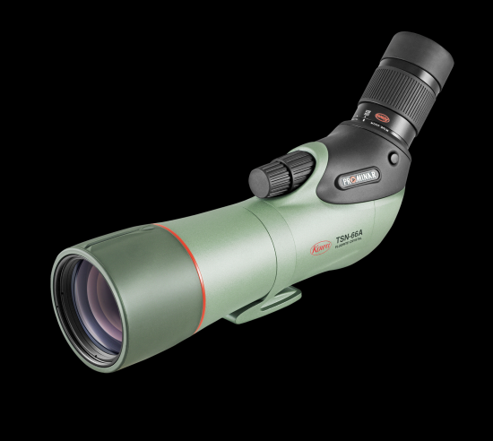 TSN-66A PROMINARʷз