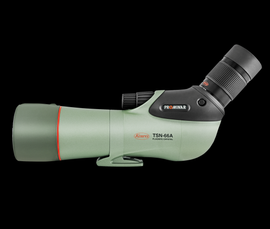 TSN-66A PROMINARʷз