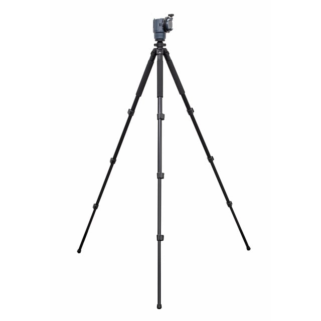 ACUTER OPTICS���ȥ�С�����ưƳ�����а���ʥ����������å��㡼/�����ȥ��󡦥��ޡ������롧6��26����8��25����