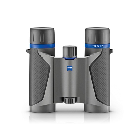 �ĥ�������TERRA ED Pocket 8��25