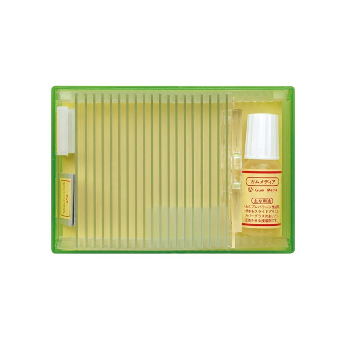 �ӥ����󡡥ץ�ѥ顼������åȡ�������λ�������