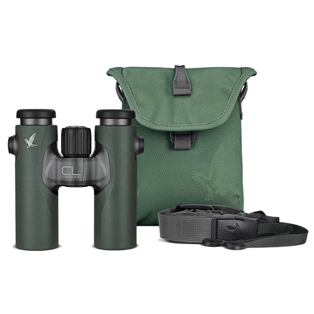 ������ե�������CL Companion Bright 10��30