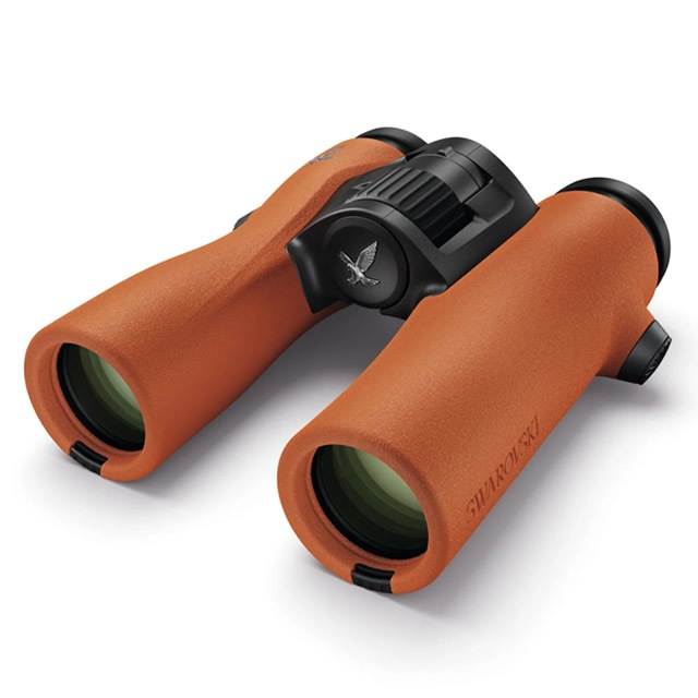 ������ե�������NL Pure 10x32��¨Ǽ��