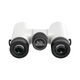 Seestar Binoculars 8��24��2026ǯ4��30����ȯ���