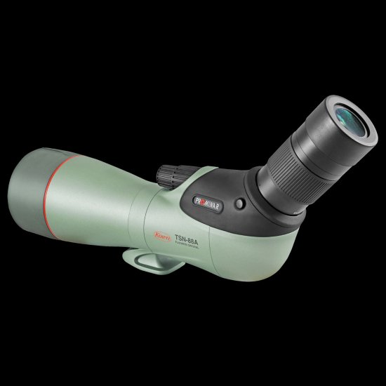 �����TSN-88A PROMINAR�ʷ��з��ˡʥ��ޡ��ȥե��󥢥��ץ����ץ쥼��ȡ�2026ǯ5��31���ޤǡ�