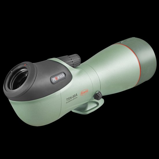 �����TSN-88A PROMINAR�ʷ��з��ˡʥ��ޡ��ȥե��󥢥��ץ����ץ쥼��ȡ�2026ǯ5��31���ޤǡ�