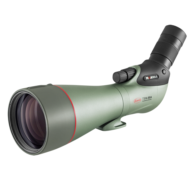 �����TSN-88A PROMINAR�ʷ��з��ˡʥ��ޡ��ȥե��󥢥��ץ����ץ쥼��ȡ�2026ǯ5��31���ޤǡ�