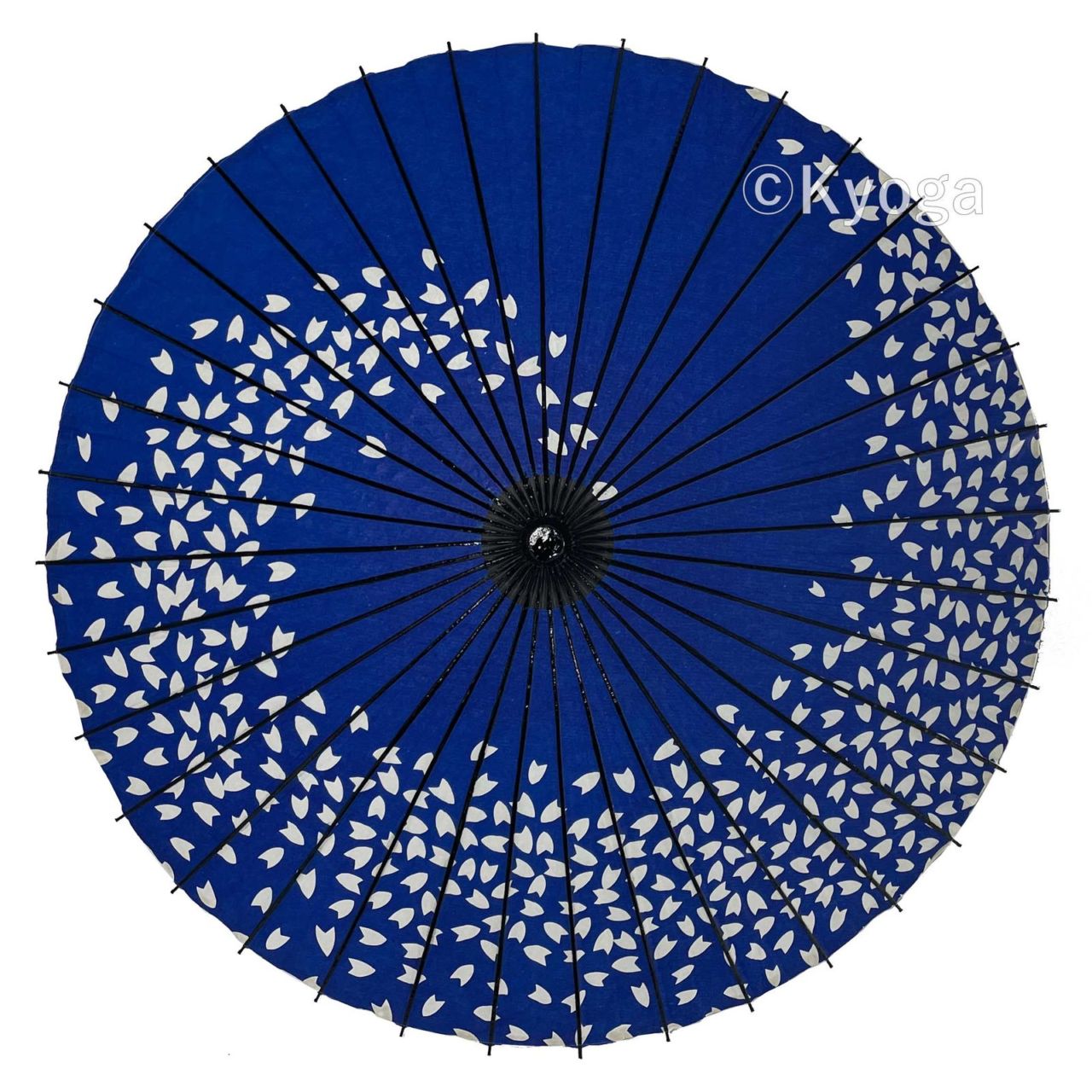 紙和傘　１尺５寸　桜渦　青　継柄