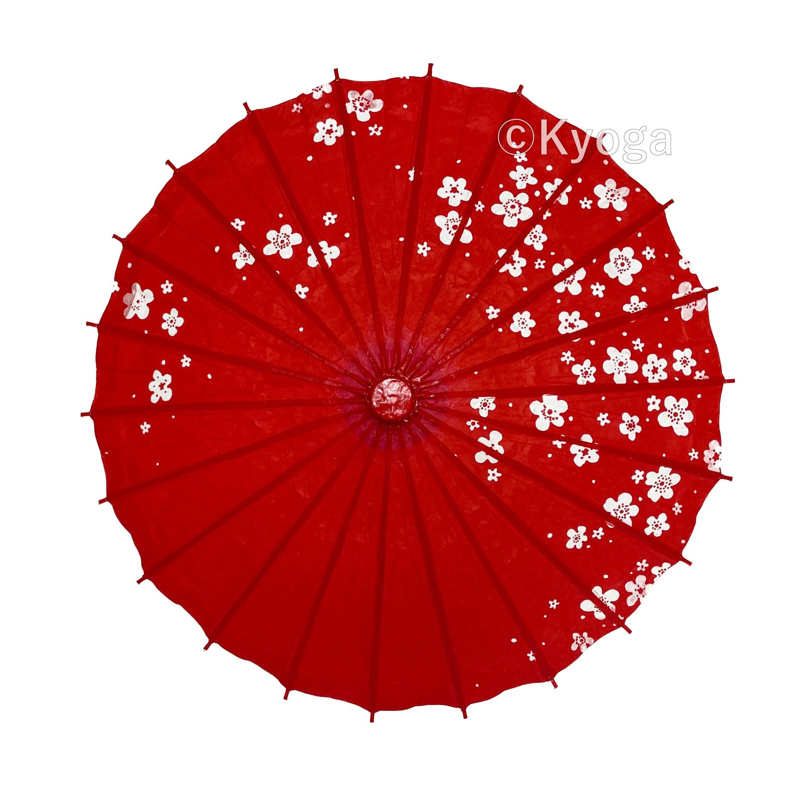 和傘・野点傘専門店 恭雅】 唐傘 － 唐傘 こども用傘 桜小路 赤