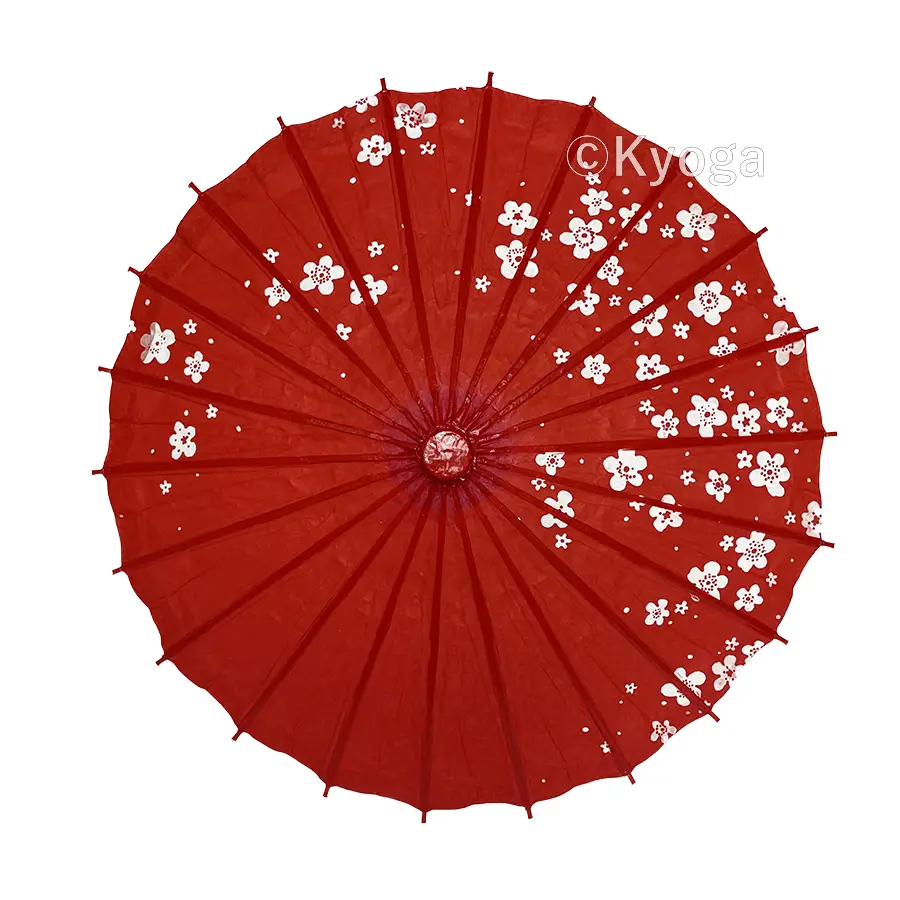 和傘・野点傘専門店 恭雅】 唐傘 － 唐傘 こども用傘 桜小路 赤