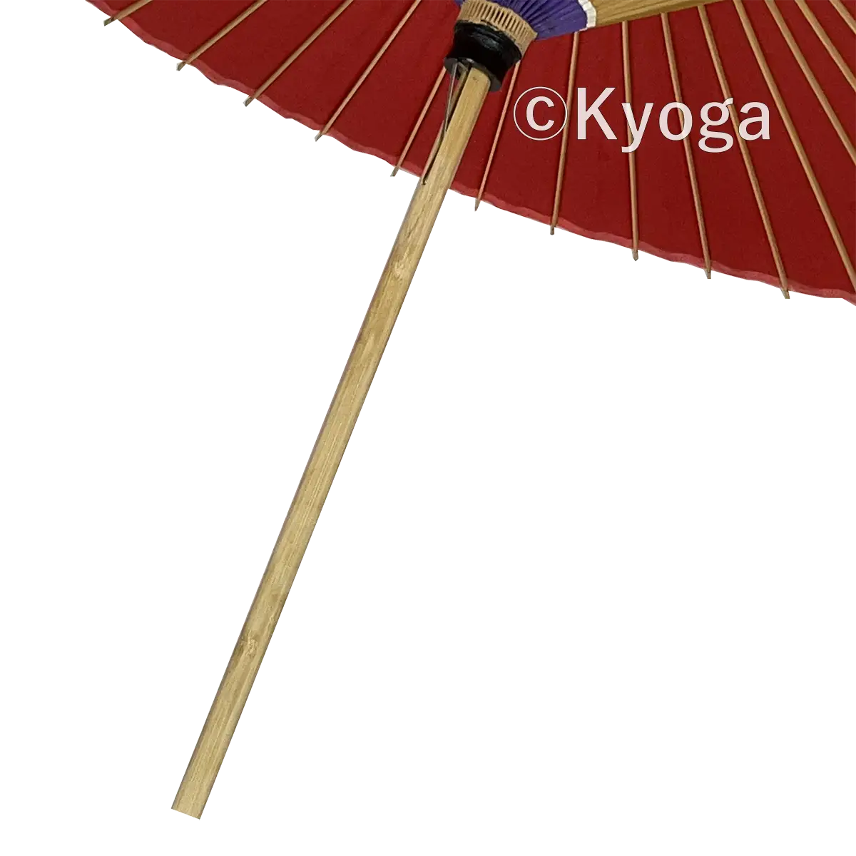 和傘・野点傘専門店 恭雅】大番傘 赤 48本骨 雨天不可 撮影用