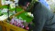 NHK VIDEOࡡʤǳؤSDG