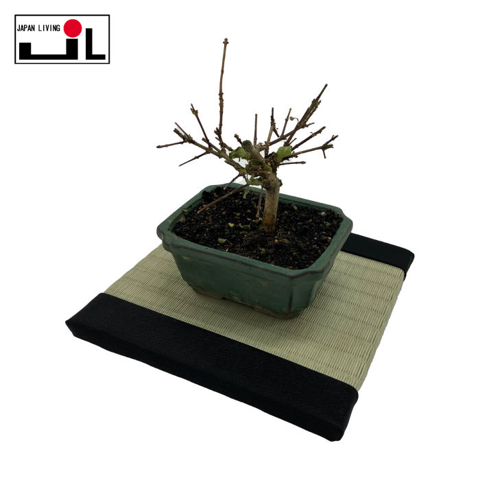 Bonsai Tatami mat 