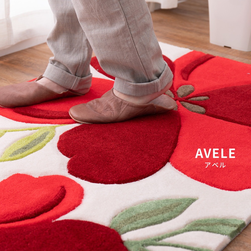 玄関マット　アベル　50×80cm