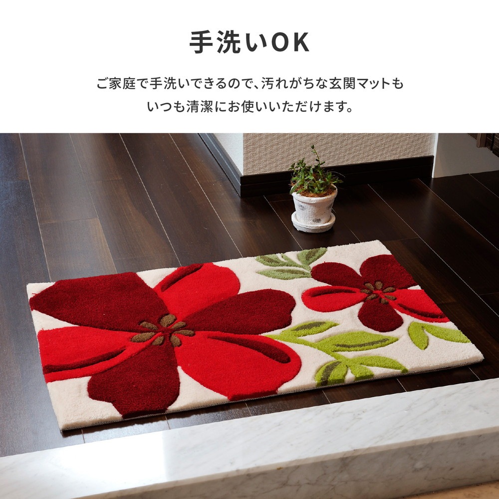 玄関マット　アベル　70×120cm