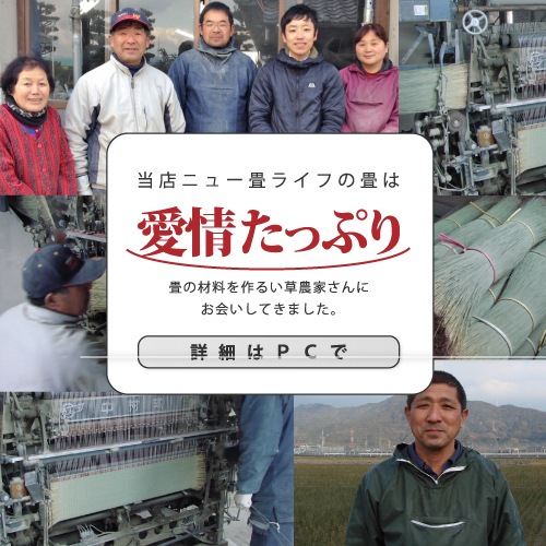 【全国対応】畳替え8畳セット（新調/へり付き/畳）【い草】【基本施工費込】