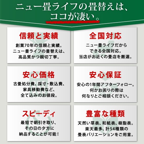 【全国対応】畳替え6畳セット（新調/へり付き/6畳）【い草】【基本施工費込】