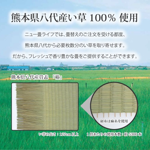 【全国対応】畳替え4.5畳セット（表替え/へり付き/4.5畳）【い草】【基本施工費込】