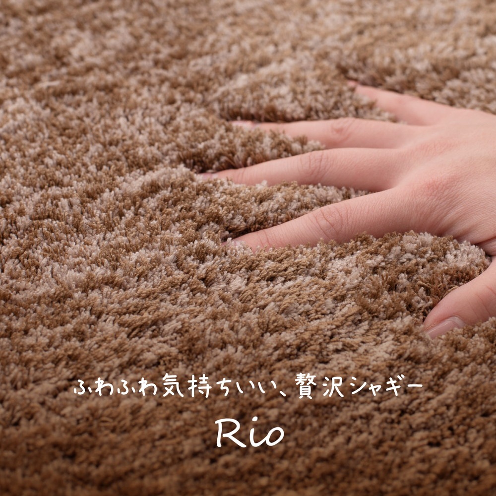 玄関マット　リオ　 55×85cm