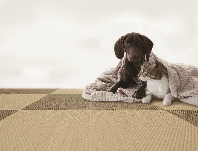 モダンタイルカーペット「Viela（ビエラ）」吸着シートタイプ450mm角