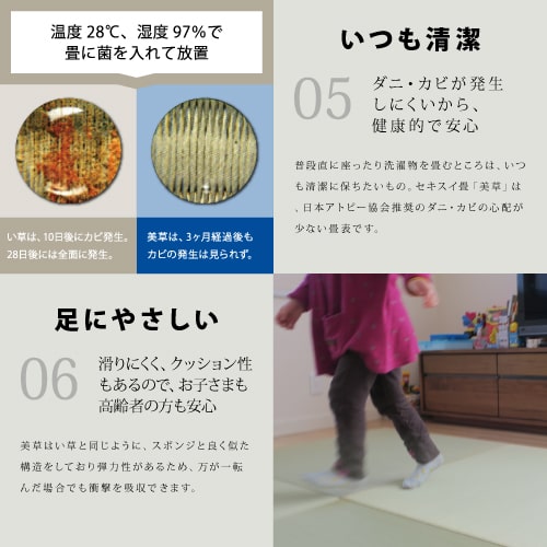 【全国対応】畳替え4.5畳セット（新調/へり付き）【美草】【基本施工費込】