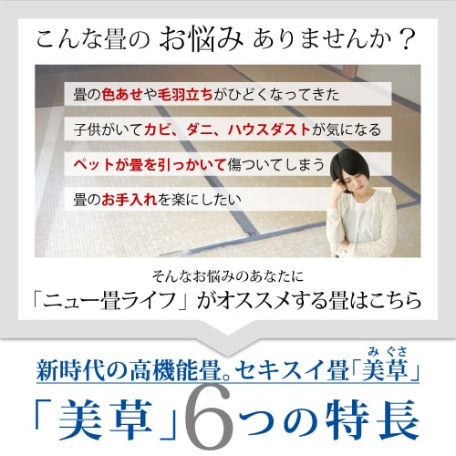 【全国対応】畳替え8畳セット（新調/へりなし/半畳16枚）【美草】【基本施工費込】
