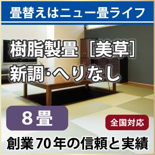 【全国対応】畳替え8畳セット（新調/へりなし/半畳16枚）【美草】【基本施工費込】