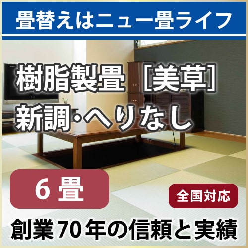 【全国対応】畳替え6畳セット（新調/へりなし/半畳12枚）【美草】【基本施工費込】