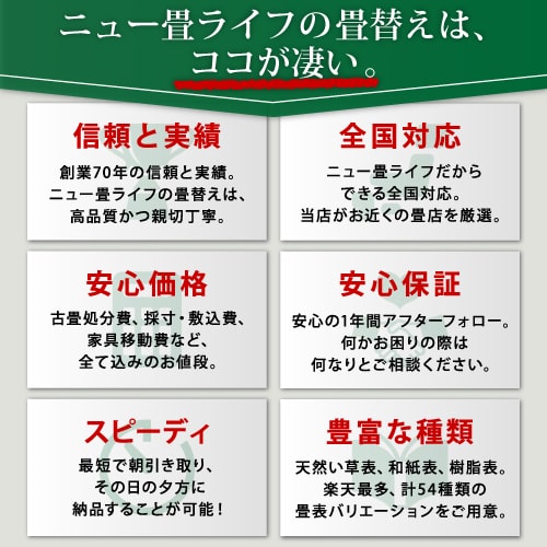 【全国対応】畳替え6畳セット（新調/へりなし/半畳12枚）【美草】【基本施工費込】