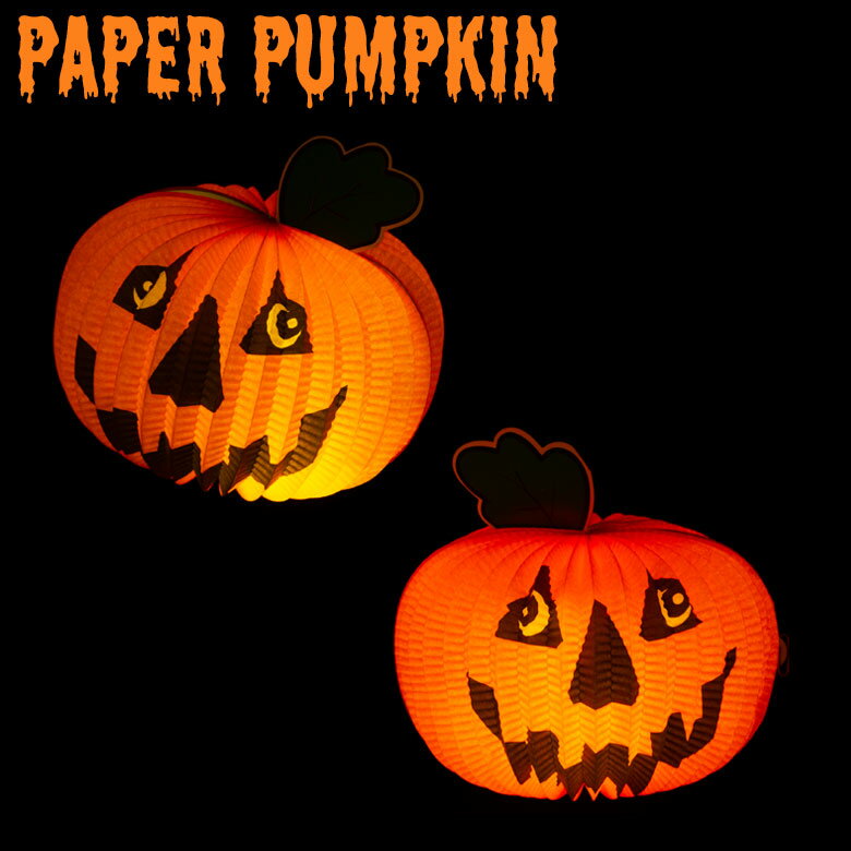 �᡼���ز� �ϥ������� �ڡ��ѡ��ѥ�ץ��� 1������ ľ��24cm ���� �ڡ��ѡ�����ե� �ڡ��ѡ������� ����ƥꥢ �ǥ����ץ쥤 ���ܤ��� � ���ܥ���