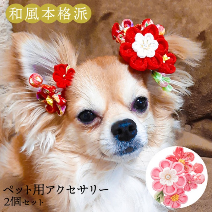 ȱ���� ������ �Ĥޤߺٹ� �٥ӡ�ȱ���� ����å� 2�����å� ������ ���޻� ´�༰ �����󤫤󤶤� ��ʪ ��� ��� �˺� ���� ����̵��