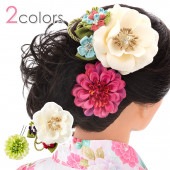 Ⱦ۰ʲ ǽͰȱ ꥢ  ԥ  إ꡼