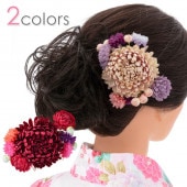 ͼ ´ȼ  ȱ Ƥ   ǥ إ꡼ ̵