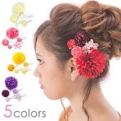 ͼ ´ȼ  ȱ ޻ Uԥ 5å ꥢȾ ٤ 5  إ꡼