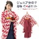 ع´ȼ   ˥ λ ʪӥǥ͡ȥå Ӳ ꥸʥ 硼Ⱦʪ     ̵ϸ 130cm 140cm 150cm ϡͼ  Ҷ  Ϥ