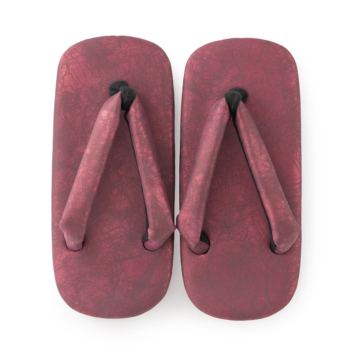 ޻ ˤλ  19.5cm   졼  磻å ѥ󥴡 ֥롼 졼 Ҷ å 