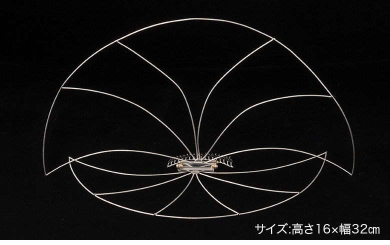 �ֲ��� ��˹�ҥ����ѡ� ��ȱ�� ������ �������� �� M 2�籩�� �錄�ܤ��� ���� �ֲǰ�� �뺧�� �º�