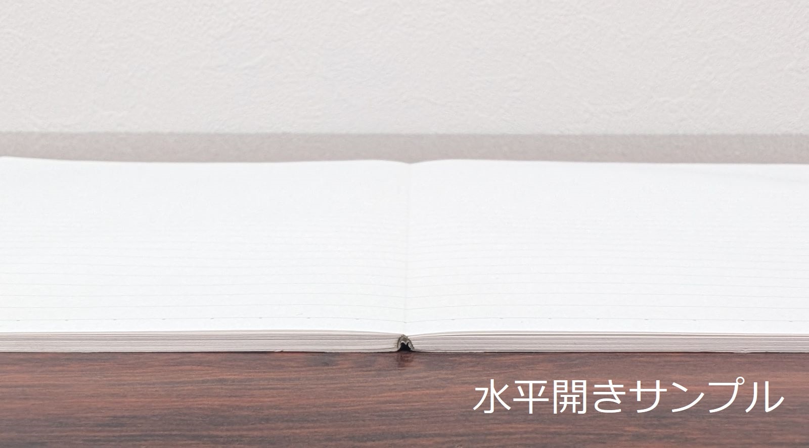 ��¼������ ��ʿ�����Ρ��ȡ��ܤ�ͥ�����Ρ��ȡס�B5Ƚ��5mm����/3�����åȡ�