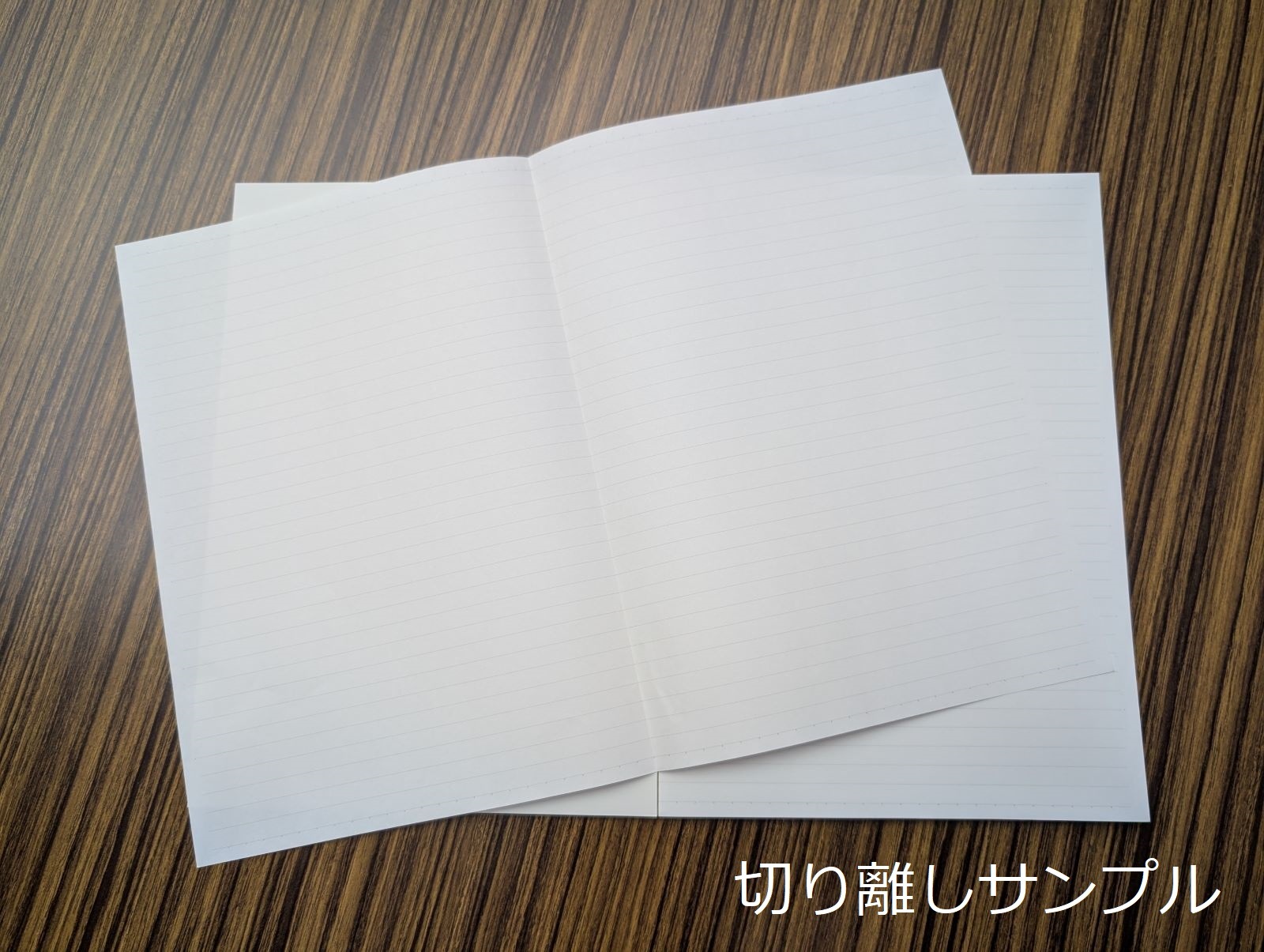 ��¼������ ��ʿ�����Ρ��ȡ��ܤ�ͥ�����Ρ��ȡס�B5Ƚ��5mm����/3�����åȡ�