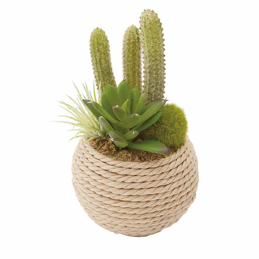 セダムミックスロープポット