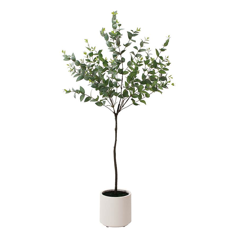 ユーカリポット