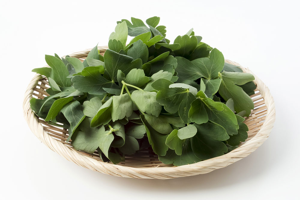 長命ソルト（ちょうめいそると）