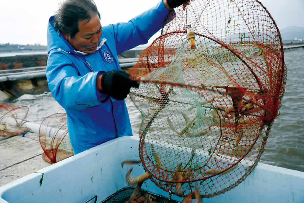 久米島産活〆冷凍車えび 750g