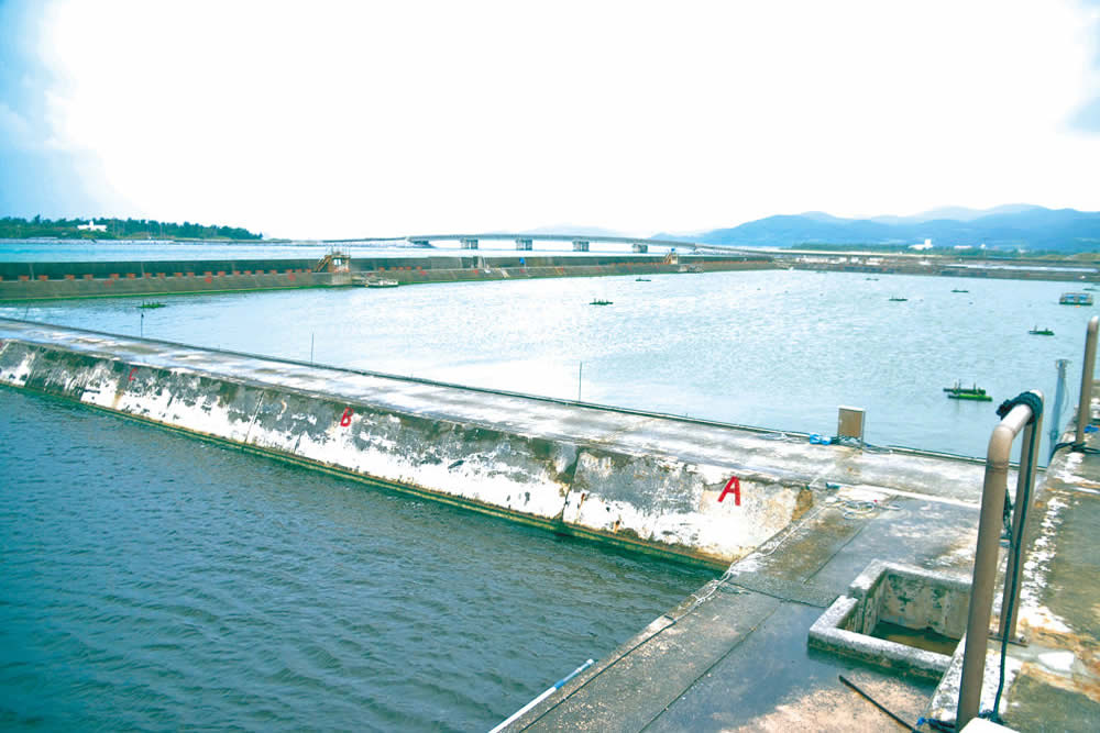 久米島産活〆冷凍車えび 750g