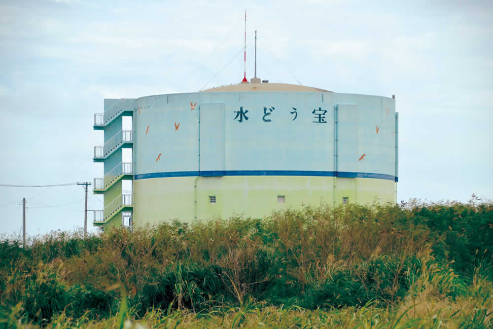久米島赤鶏食べ尽くしセット 3,000g