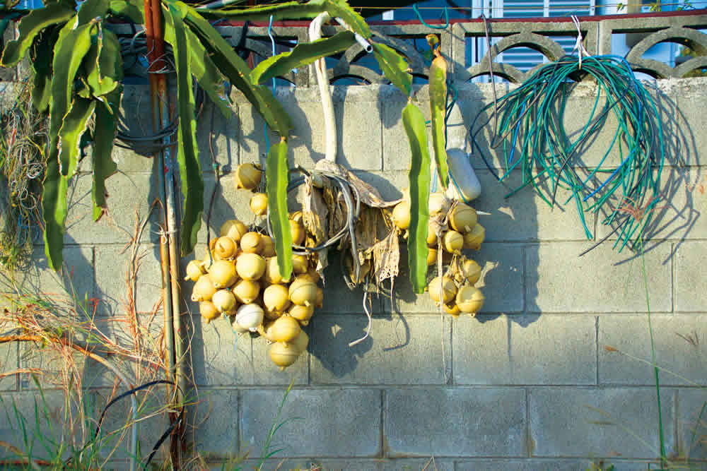 粟國の塩・島唐辛子ブレンド