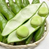 そら豆 一寸 そら豆 500g ソラマメ 空豆 蚕豆 Broad bean Fava bean