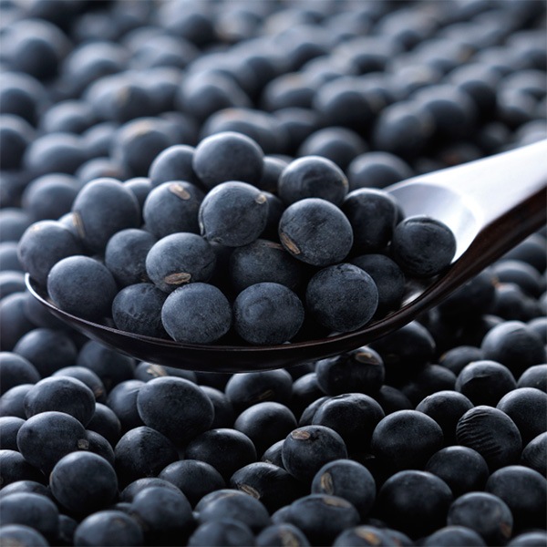 �ڴ�ʪƦ ��ʪ�ѡۡ�����7ǯ�����ð�Ȥ֤ɤ���Ʀ ��������������-1