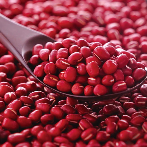 �ڴ�ʪƦ ��ʪ�ѡۡ�����6ǯ�����ð�Ȥ֤ɤ���Ʀ �������� ����ð����Ǽ�����Ť� �������硡��-5