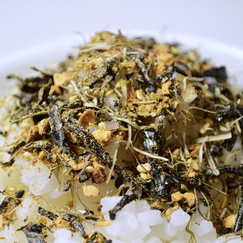 ���ι�Ʀ�դ꤫�����ߤΤ�